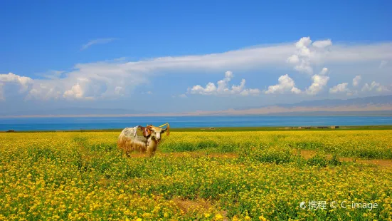 Qinghai Lake