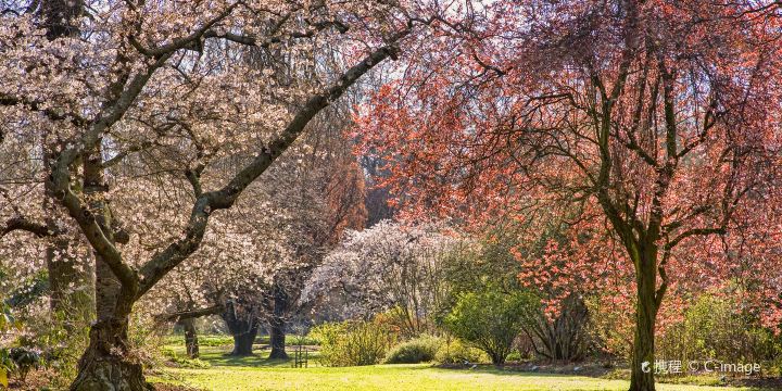 Hagley Park North
