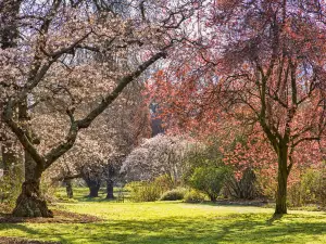 Hagley Park North