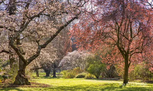 Hagley Park North