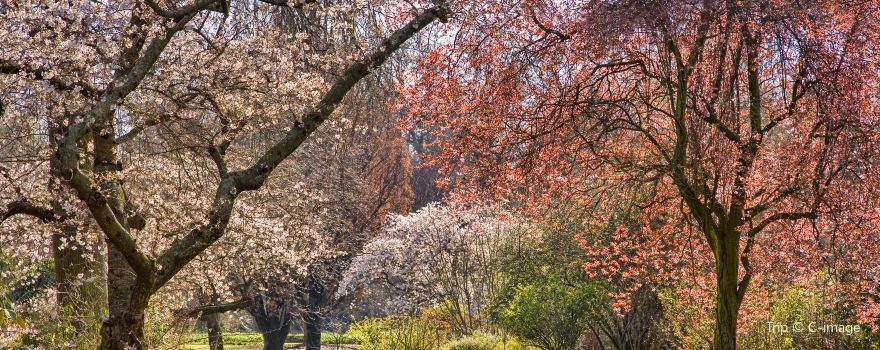 Hagley Park North