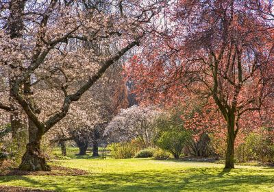 Hagley Park North