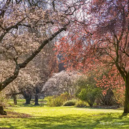 Popular Spring Outings in Christchurch