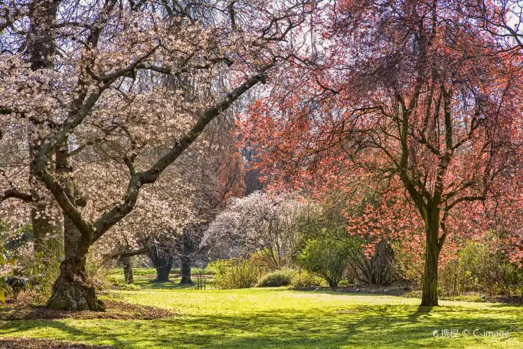 Hôtels à proximité de : Hagley Park
