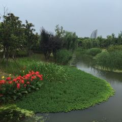 Kaiyuan Mingju User Photo