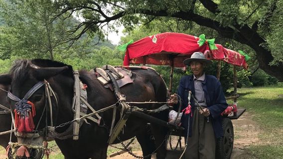 Mt. Nulu'erhu Nature Reserve
