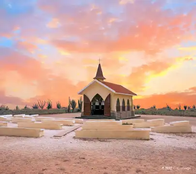 5-Star Hotels in Aruba