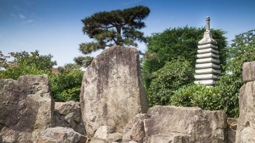 Japanese Friendship Garden