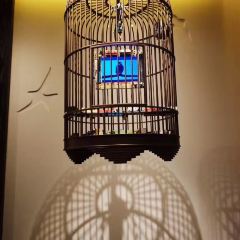 Hua Chi 88 User Photo