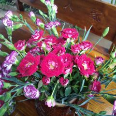 山海汇·老字号·特色白族菜（人民路店） User Photo