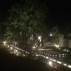 BAI YUN RESTAURANT User Photo