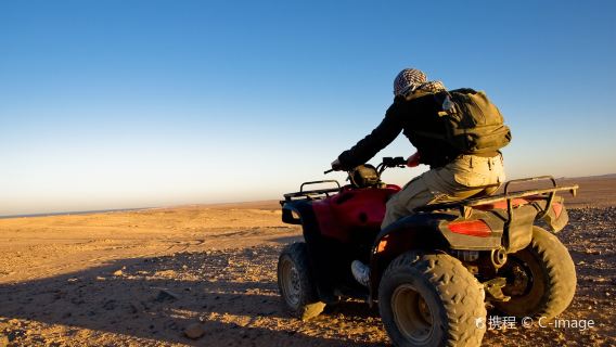 Sand Dune Adventures