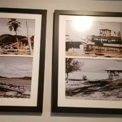 Restaurant Shark Fing User Photo