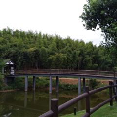 西塞山前白鹭湾餐厅 User Photo