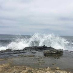 THE MARINE ROOM 여행 사진