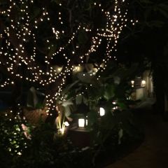 RUEN URAI FINE THAI CUISINE User Photo