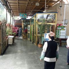 Meiguihua Barbecue User Photo