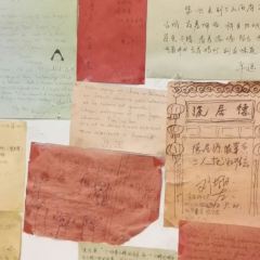 德居源 User Photo