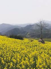 Tongxing Ecological Sightseeing Park