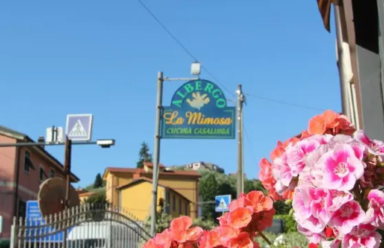 艾爾伯格拉米莫沙酒店