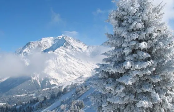 格爾法德小木屋公寓