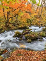 Oirase Gorge