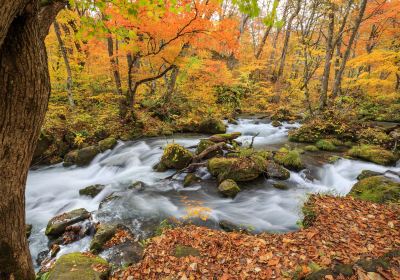 Oirase Gorge