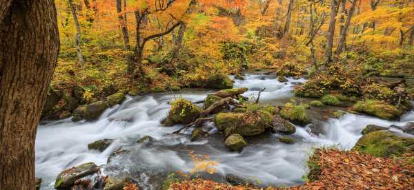 Gastfamilien in Präfektur Aomori, Japan