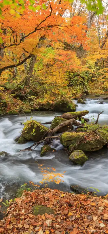 Префектура Аомори, Япония: отели, где есть баром