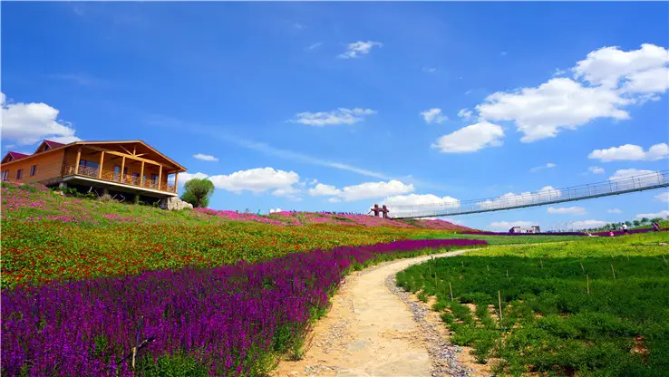 Binggou Tourist Resort