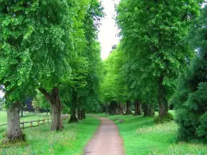 樱花山庄