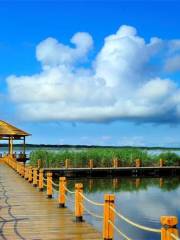 興凱湖新開流景區