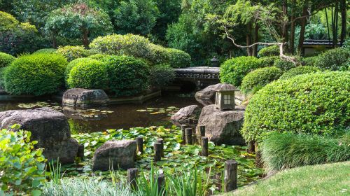 布里斯本植物园