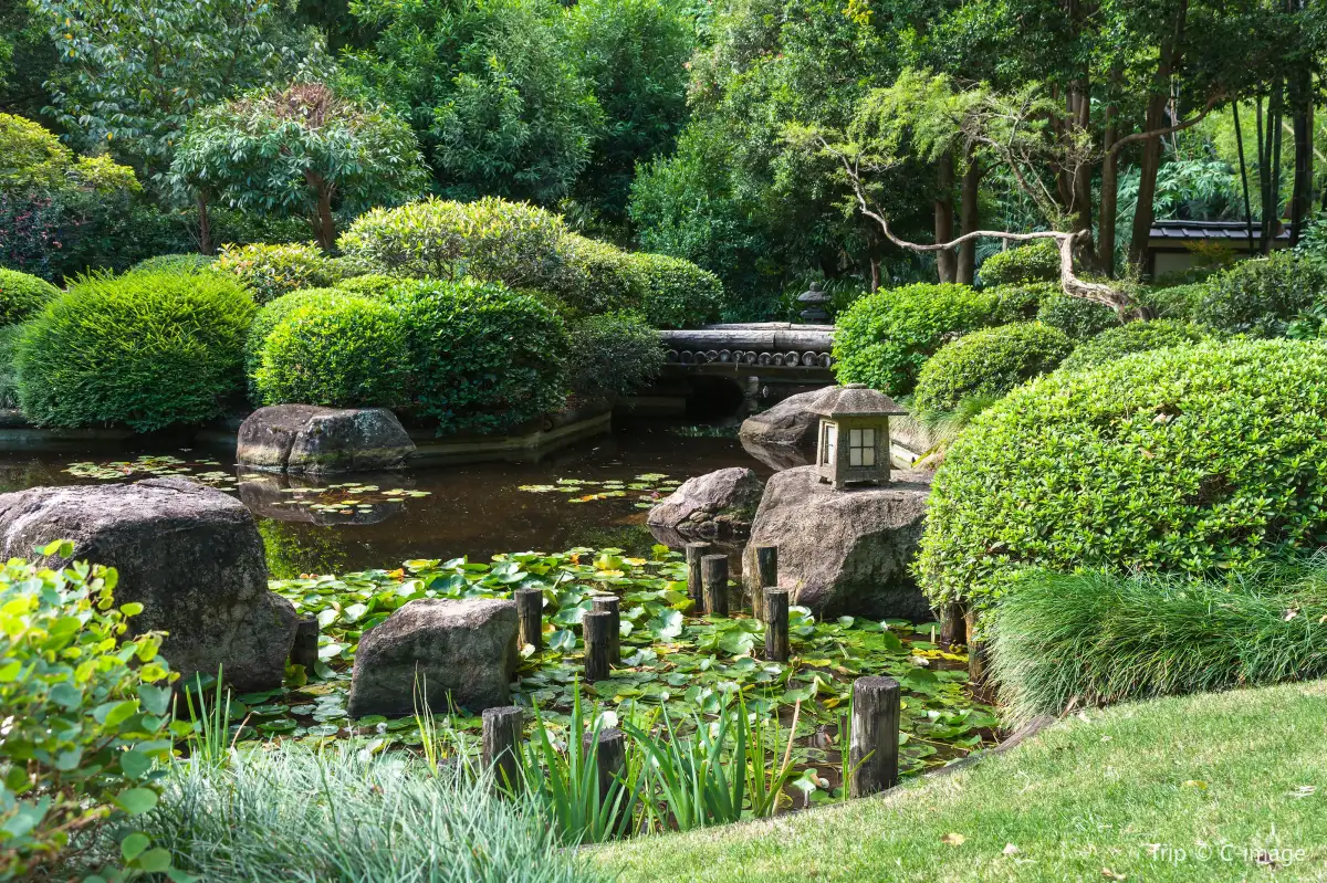 Brisbane Botanic Gardens Mt Coot-tha