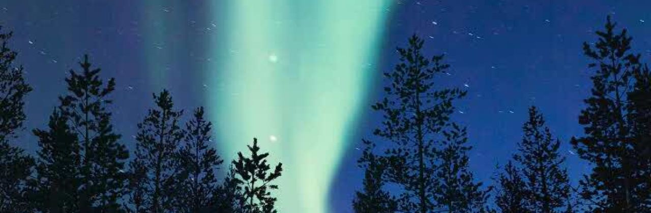 CHUAN MIAN FU GAI JIAO FAN SHUI JIAO