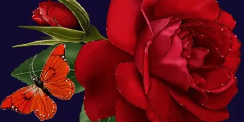 華萊士(53德化寶美店)