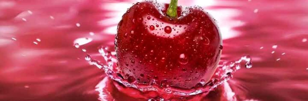 台湾鸡排(世濠花园店)