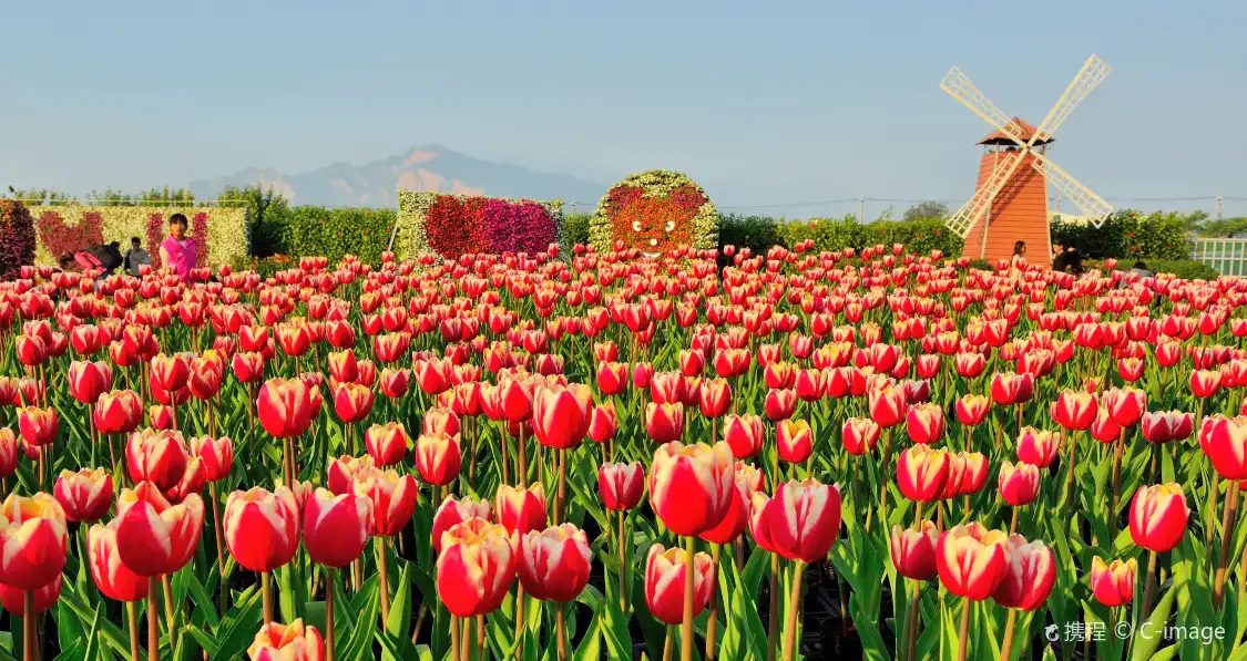 Hotels near Xinshe Flower Sea