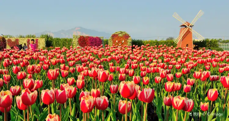 Hotels near Xinshe Flower Sea