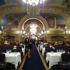 Le Train Bleu User Photo