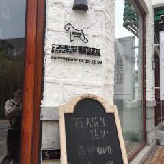 Shi Tou Xian Sheng De Kao Lu ( Kuan Hou Li ) User Photo