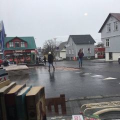 Reykjavik Roasters張用戶圖片