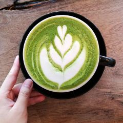 Rooster Coffee House 여행 사진
