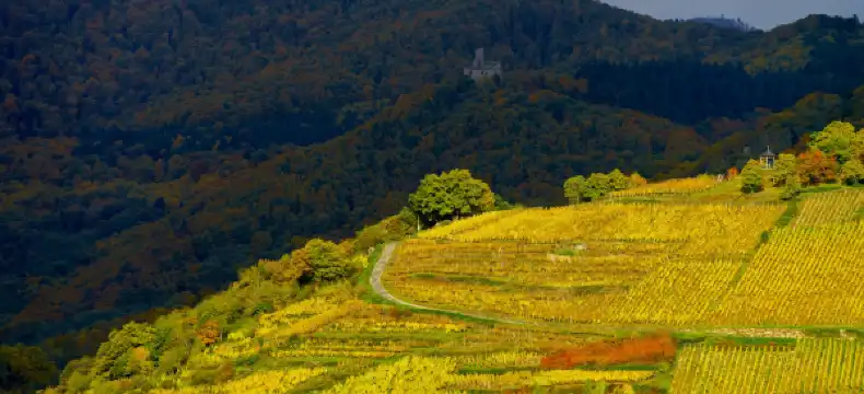 Hôtels 2 étoiles à Grand Est, France