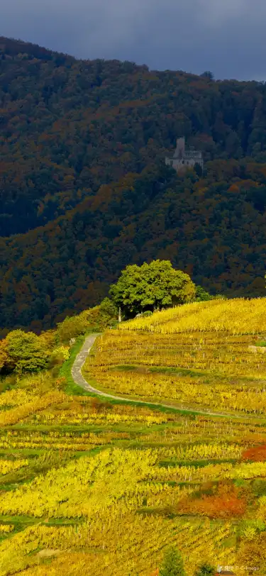 2-Star Hotels in Grand Est, France