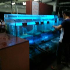 辉弟海鲜大排档 User Photo