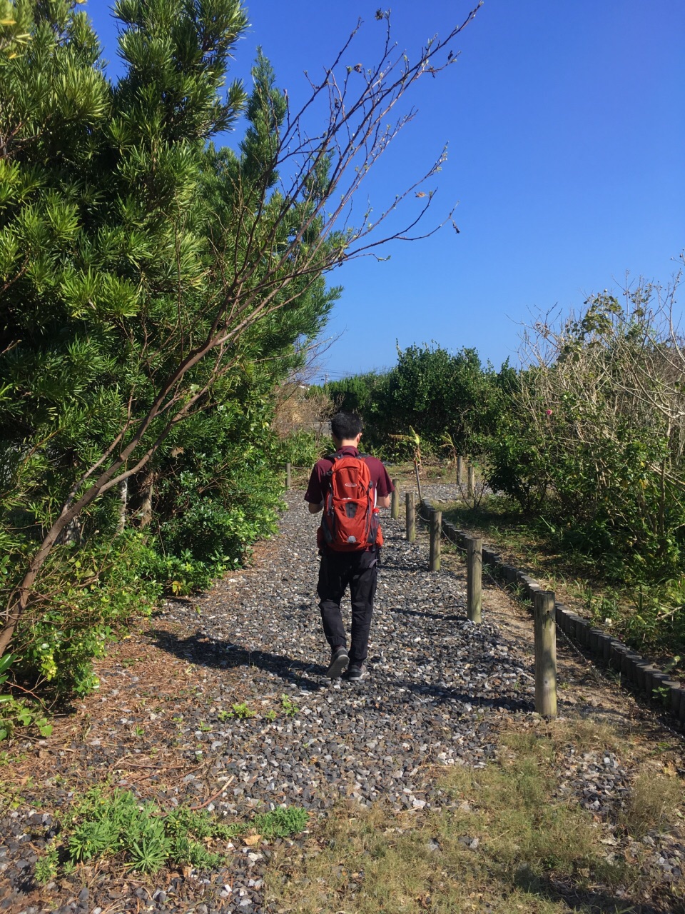 喜界島旅遊攻略指南 喜界島評論 喜界島附近推薦 Trip Com 喜界島旅遊攻略指南 喜界島評論 喜界島附近推薦 Trip Com