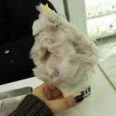 REMICONE User Photo