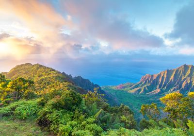 Kauai County