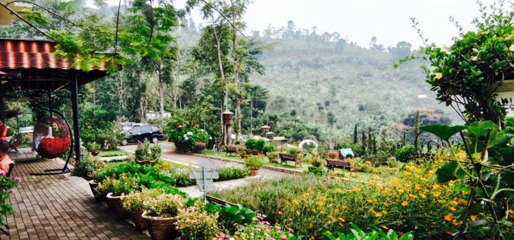 Ngopi di Kebon